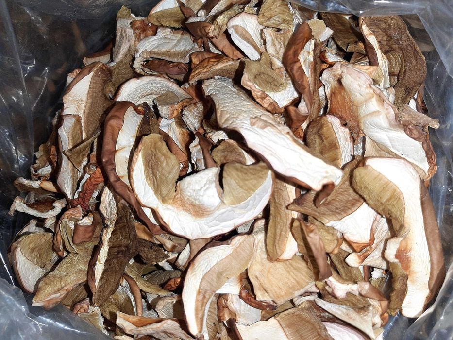 Grzyby suszone prawdziwki