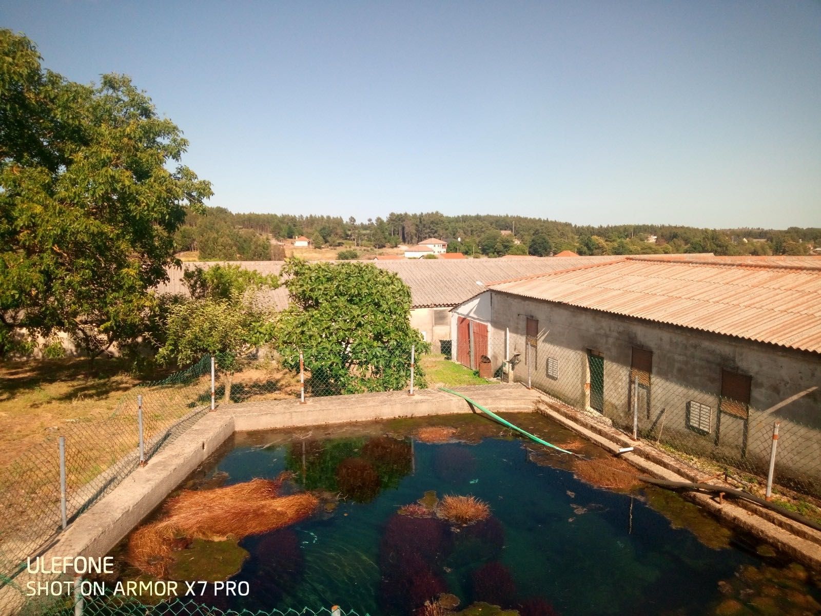 Vendo Nucleo/Pavilhões de Aviários com Terreno