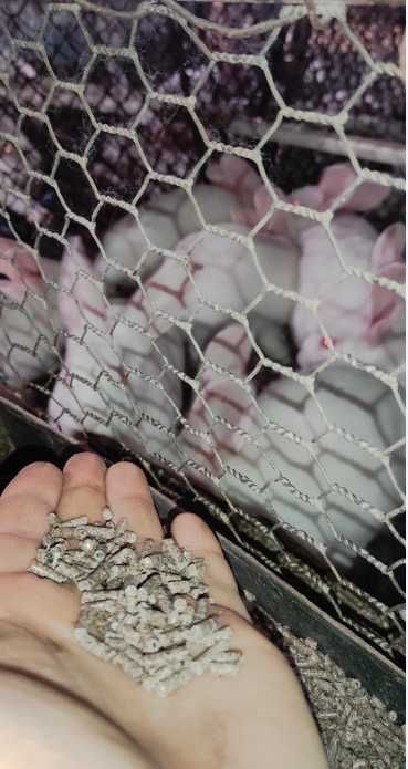 Комбікорм для кролів преміум з вітамінами повноцінний