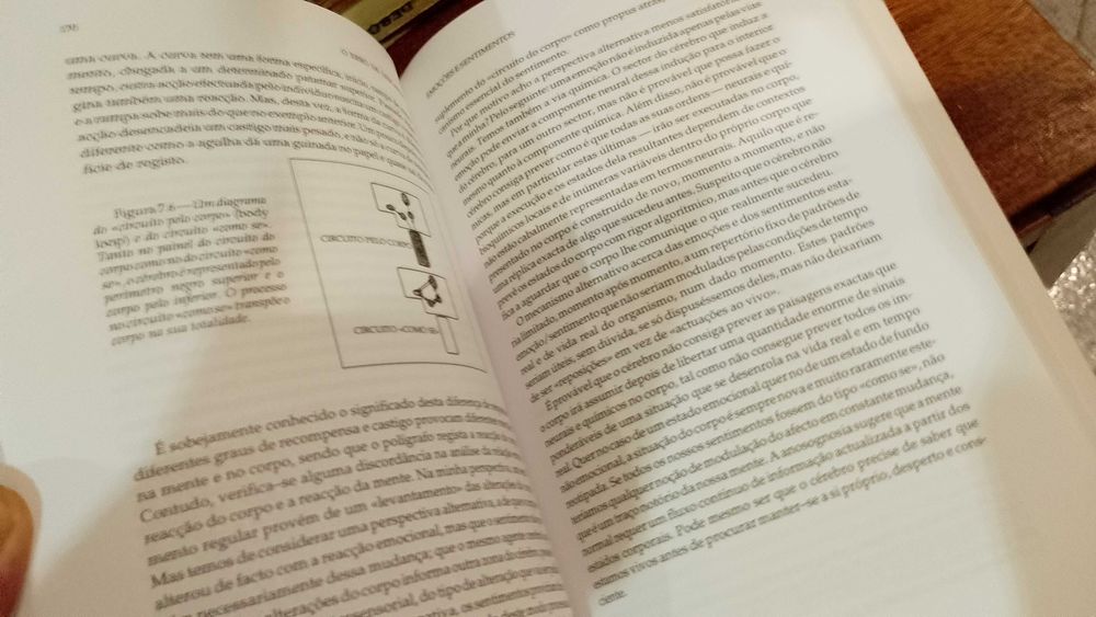 O Erro de Descartes: Emoção, razão e cérebro humano-António R. Damásio