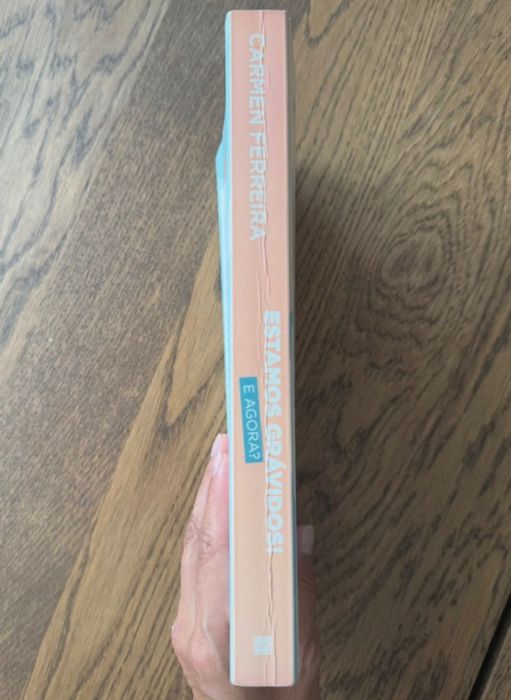 Livro “Estamos grávidos! E agora?” Carmem Ferreira
