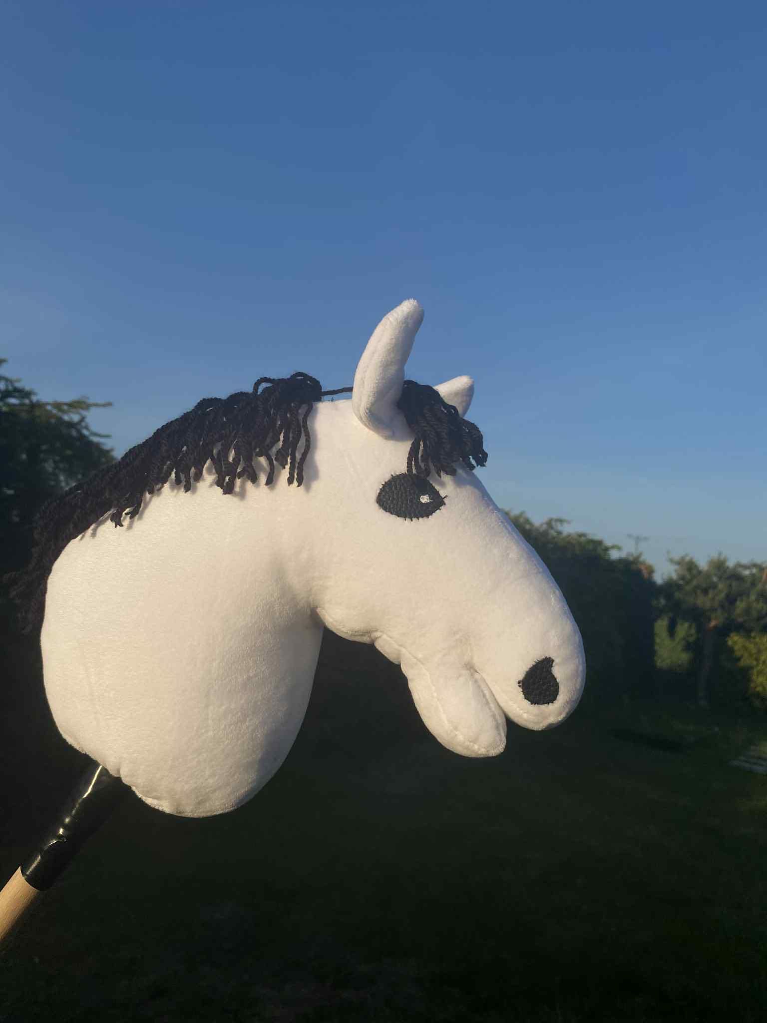 Koń na kiju Hobby horse