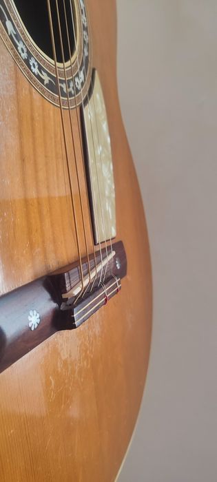 Viola de Fado Manuel Cardoso (1971)