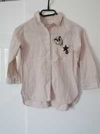 Koszula, bluzka elegancka z kolniezykiem, haftem i cekinami Zara 116