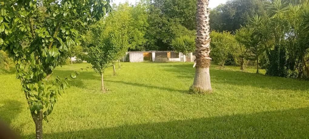 Alugo terreno, vedado ideal para criação ou treino de animais
