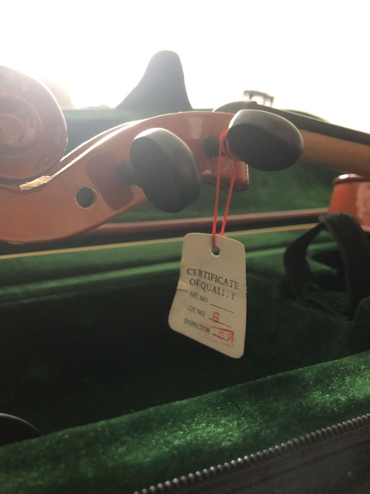 Violino novo com todas as peças