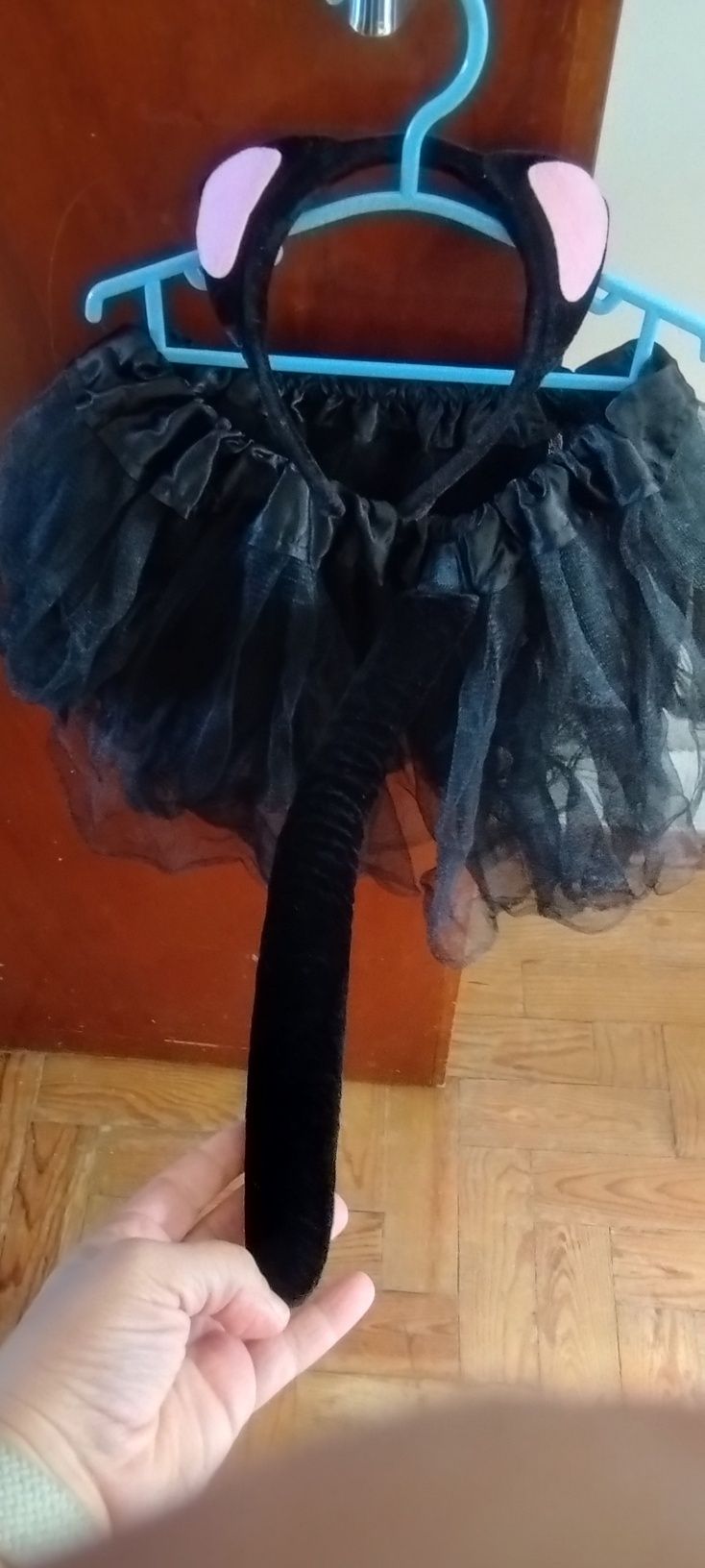 Fato de carnaval de Gato