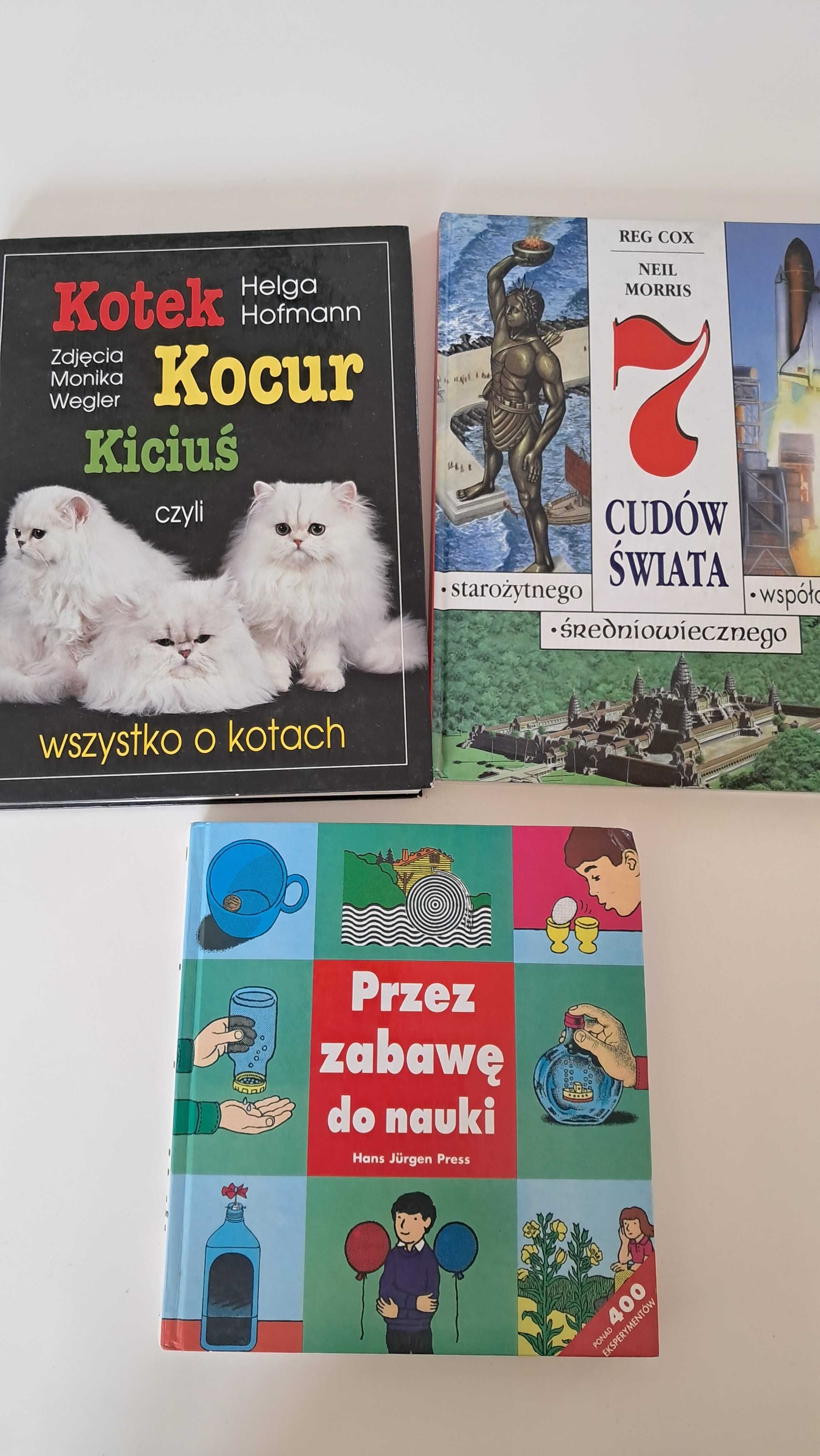 Przez Zabawę do nauki 7 cudów świata kotek kocur kiciuś