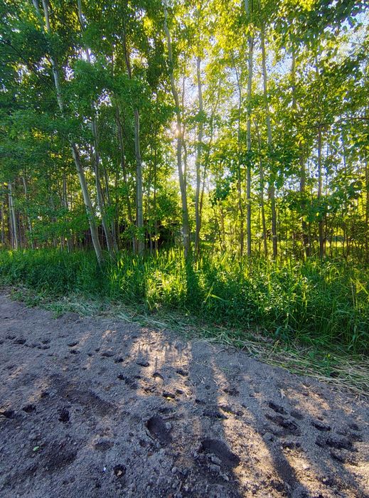 Sprzedam działkę budowlaną - 3747 m2 Ruda Śląska - Halemba