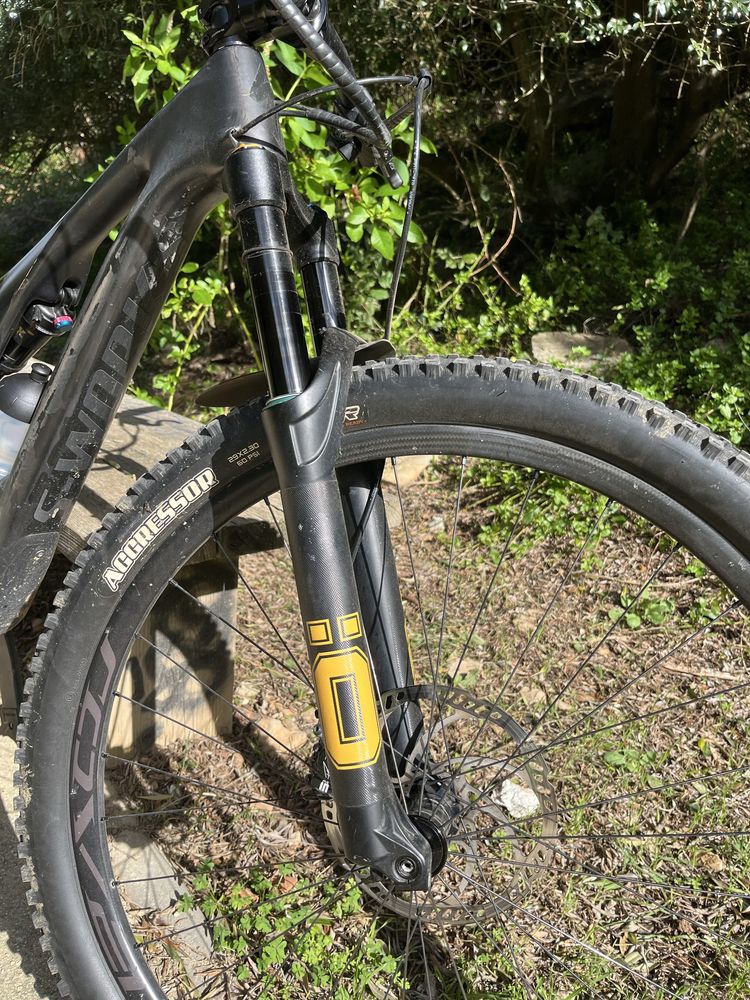 Specialized Stumpjumper Sworks 29 - S