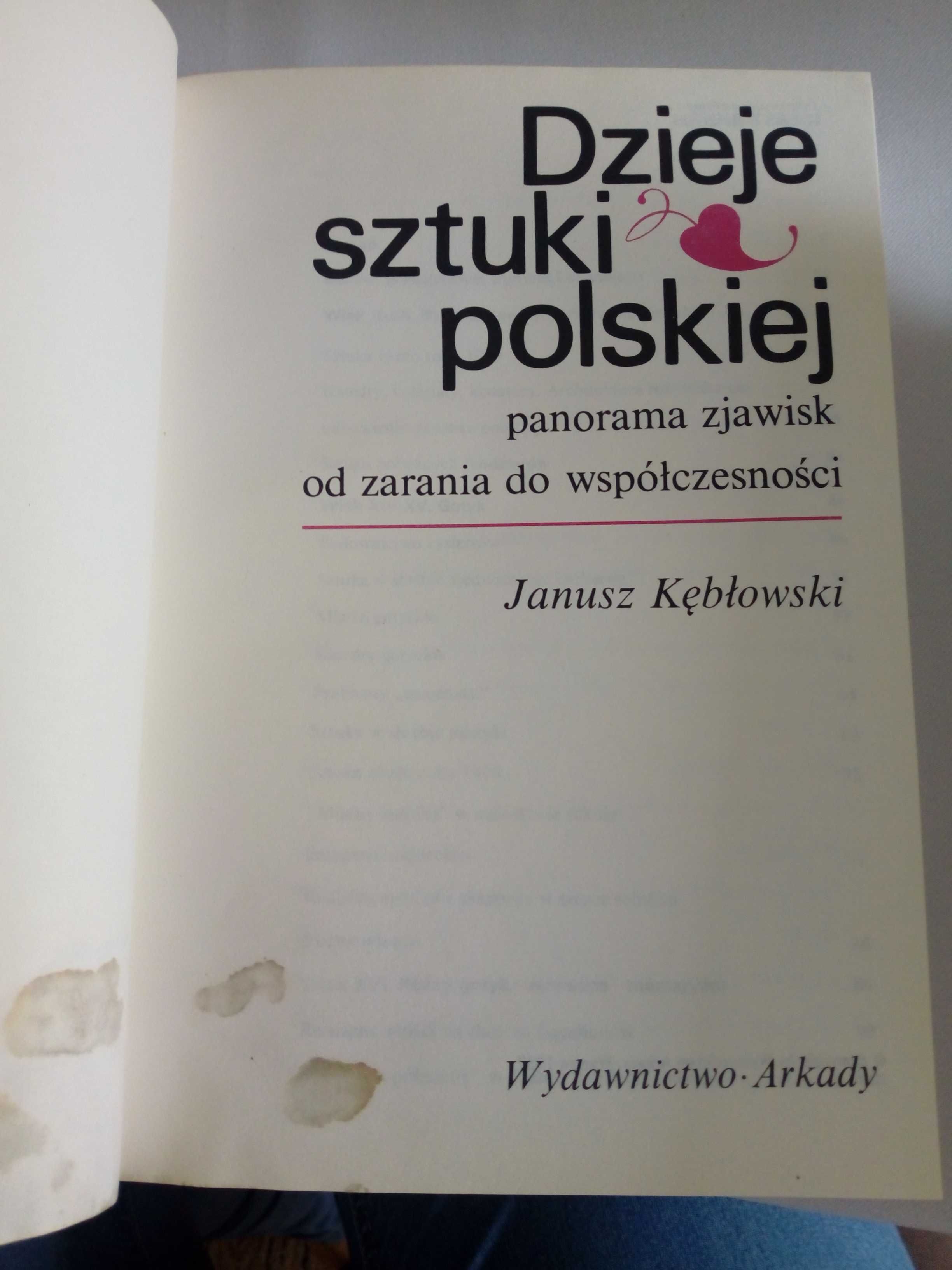 Dzieje polskiej sztuki polskiej - Janusz Kębłowski