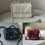 Сумка Chanel 19 Handbag шкіра | бежева, чорна, бургунді