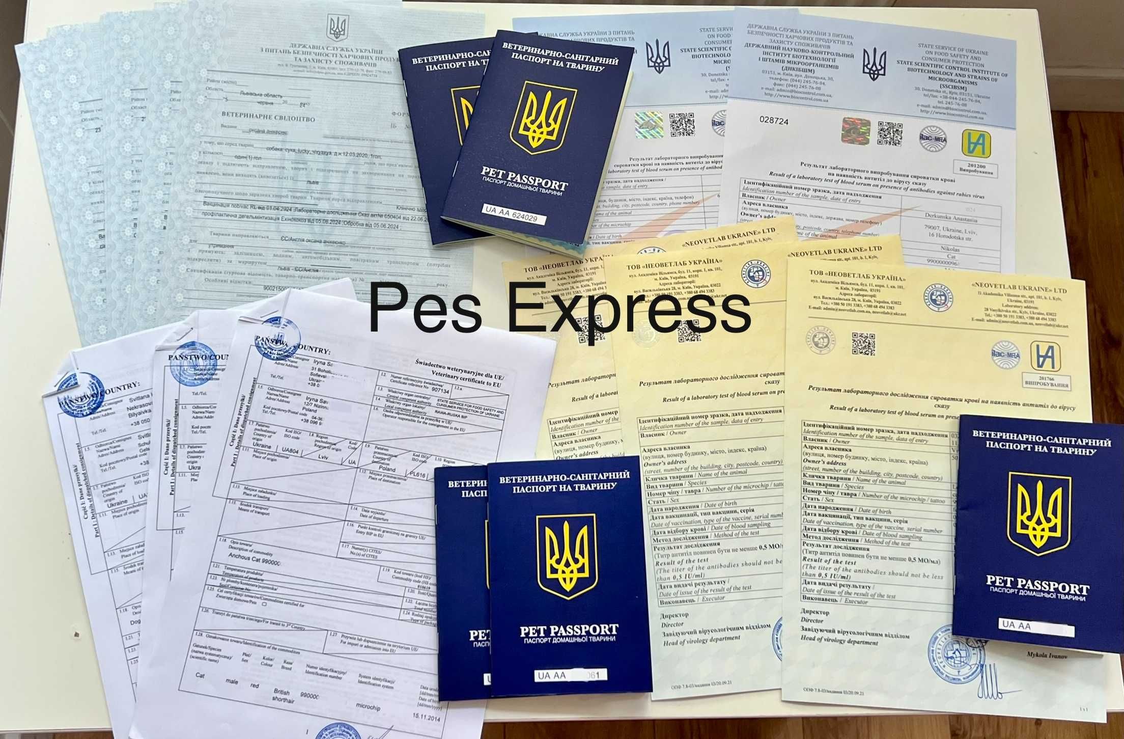 Срочные ветеринарные документы (паспорт, форма 1, сертификат)