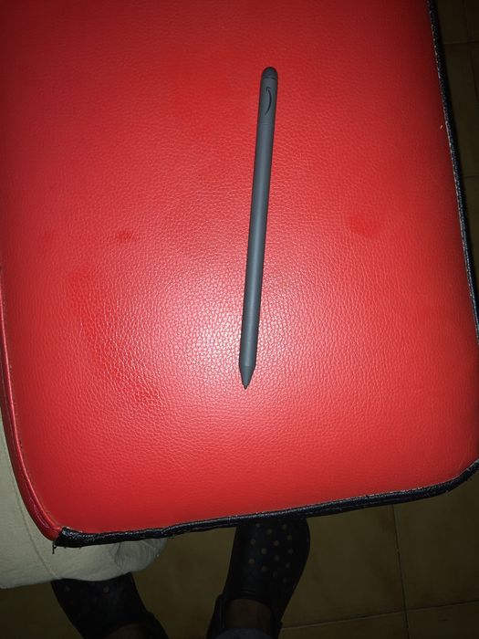 Earaser pencil  parperwhite amazon