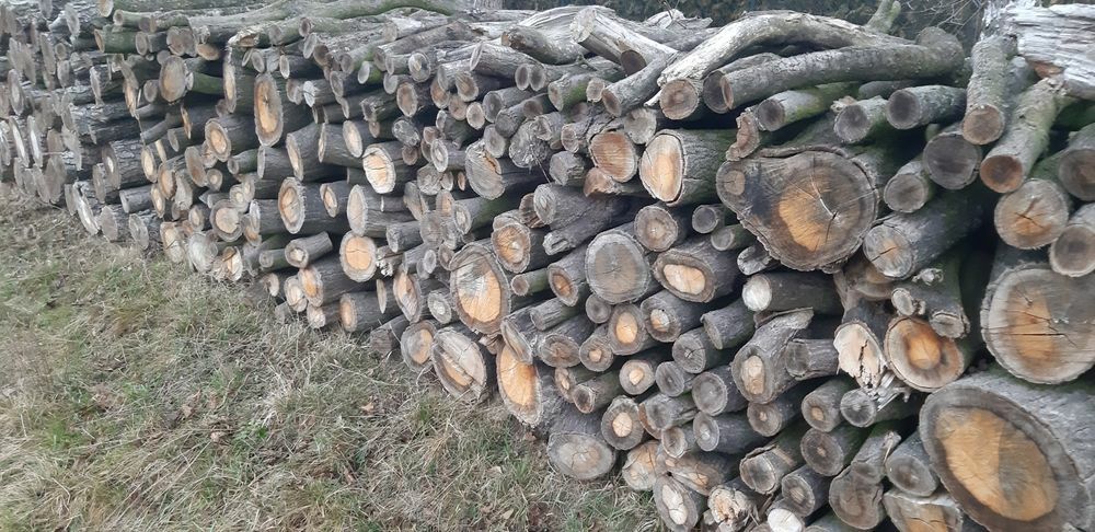 Sprzedam drewno opałowe i dłużyca