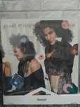 Wendy&Lisa "Fruit at the bottom" LP