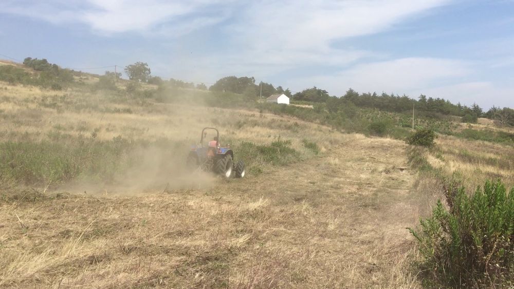 Limpeza de Terreno