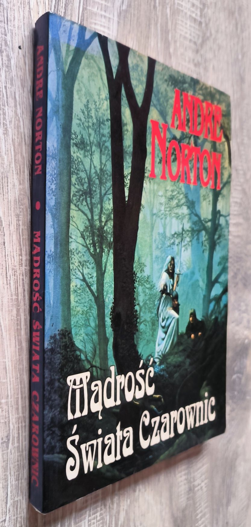 Mądrość świata czarownic Andre Norton