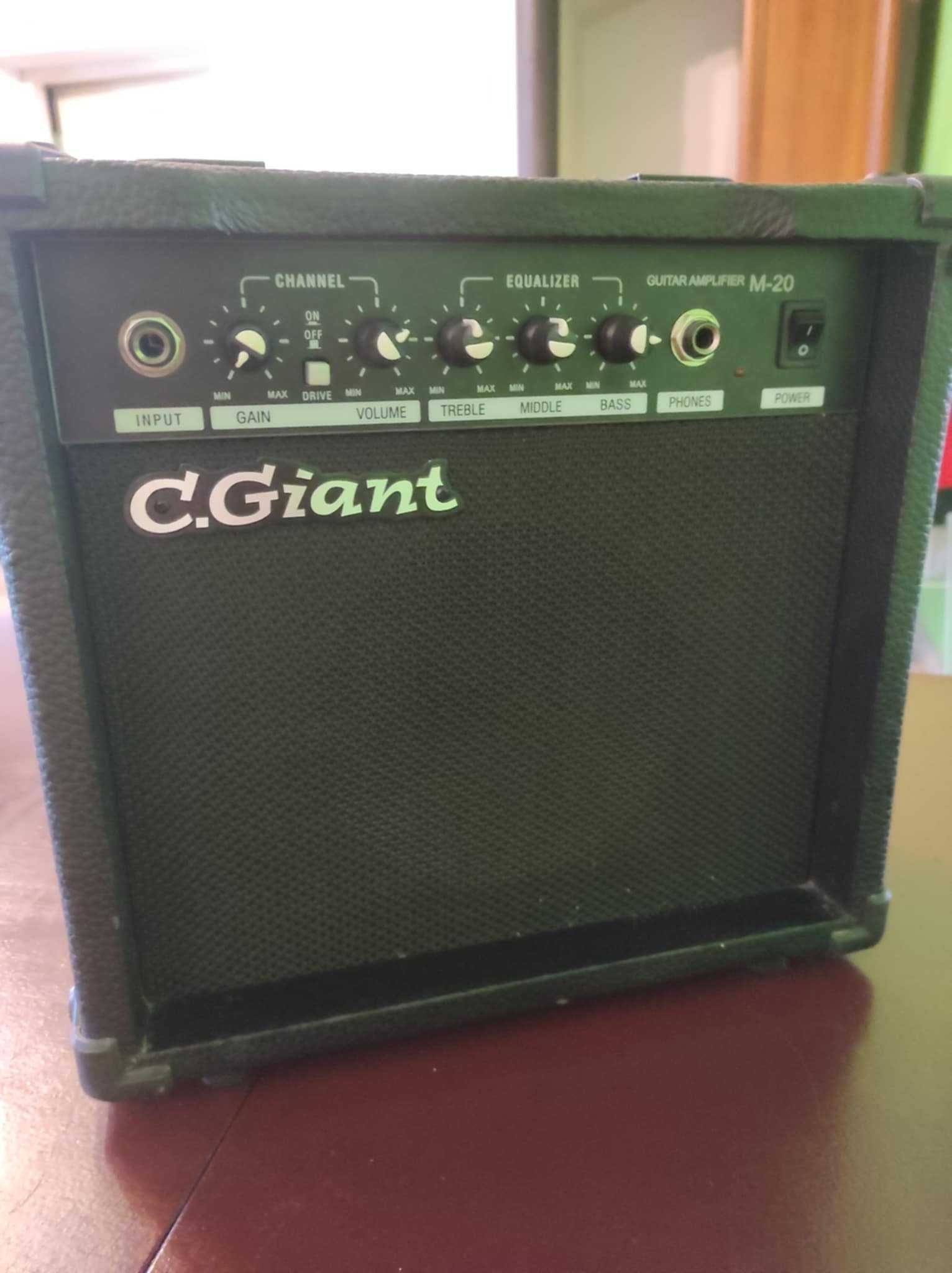 Wzmacniacz C.Giant