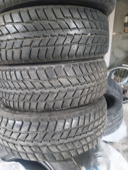 Гума зимова бушва у використанні