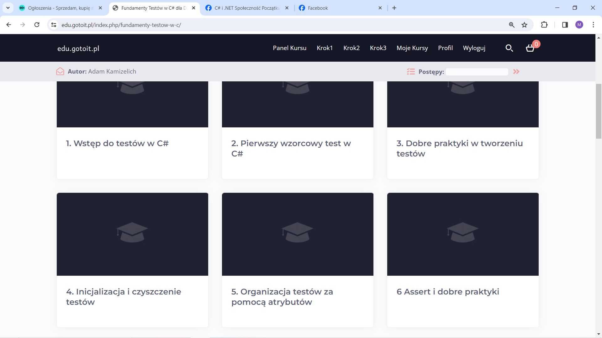 Odsprzedam dożywotni kurs C# i .NET z gotoit.pl