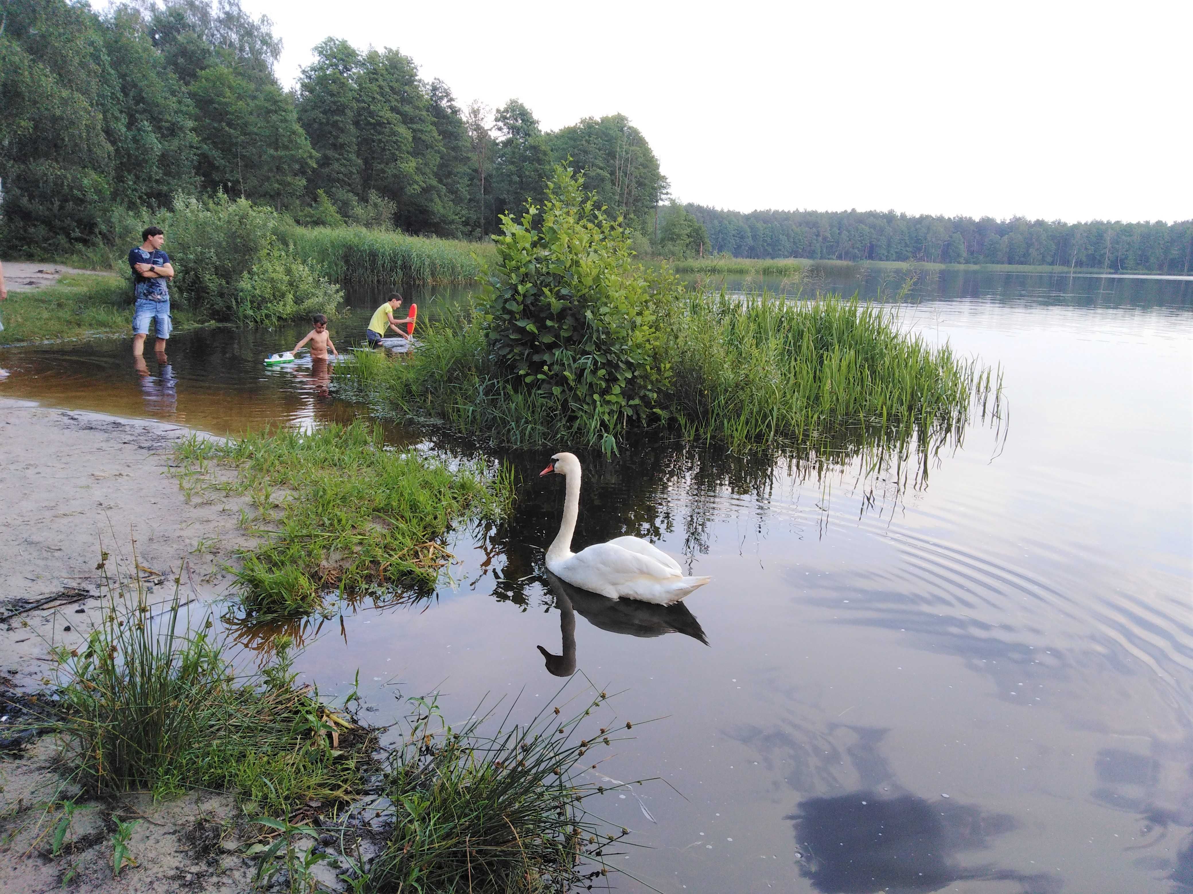 Dom nad jeziorem Glinki, Święte, Białe