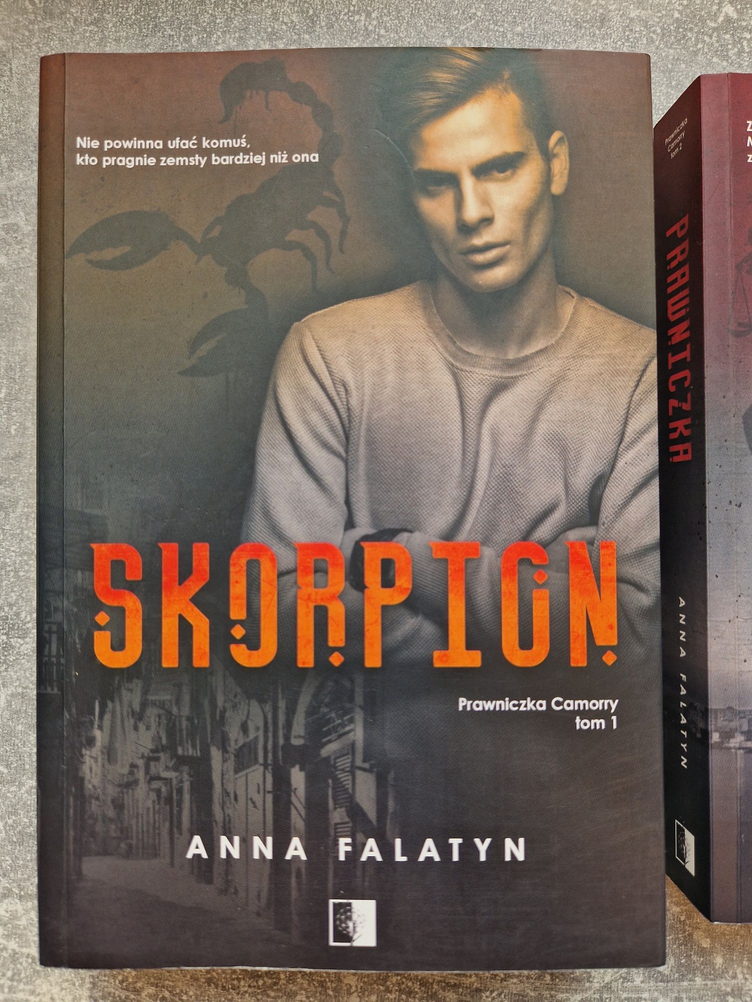 Anna Falatyn Prawniczka Camorry cała seria