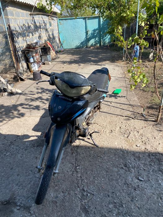 Mustang Active MT125-3