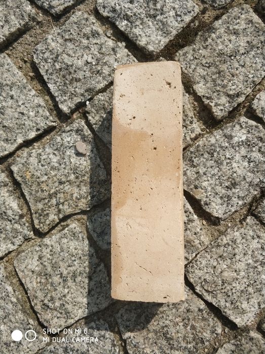 Cegły z wypustkami i bez  około 1tys. Sztuk .