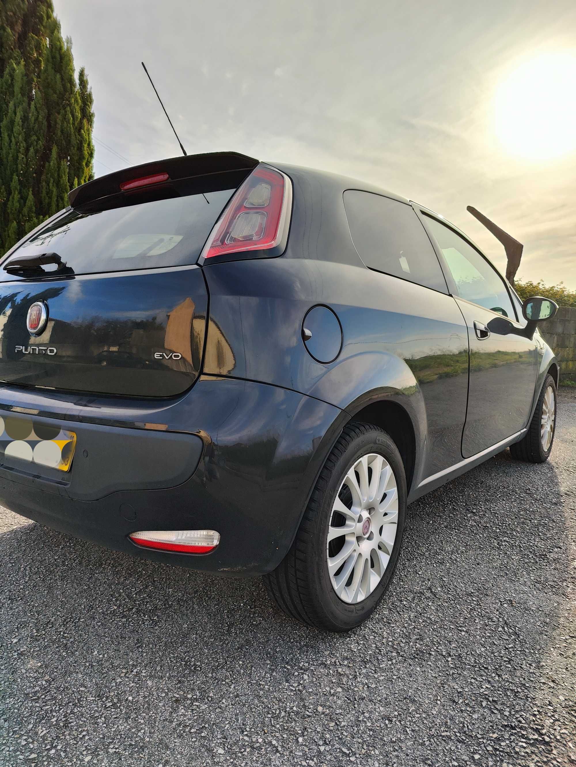 Fiat Punto Evo Van