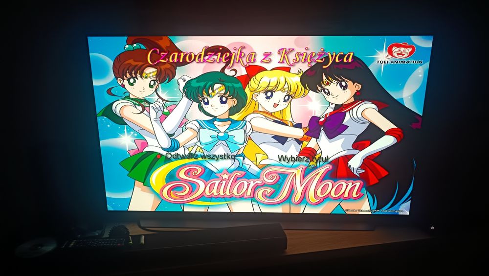 Czarodziejka z Księżyca pl