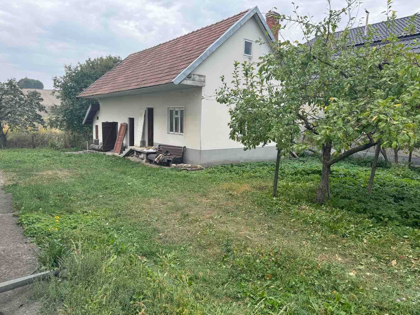 Продається будинок ,особняк в с.Перенівка