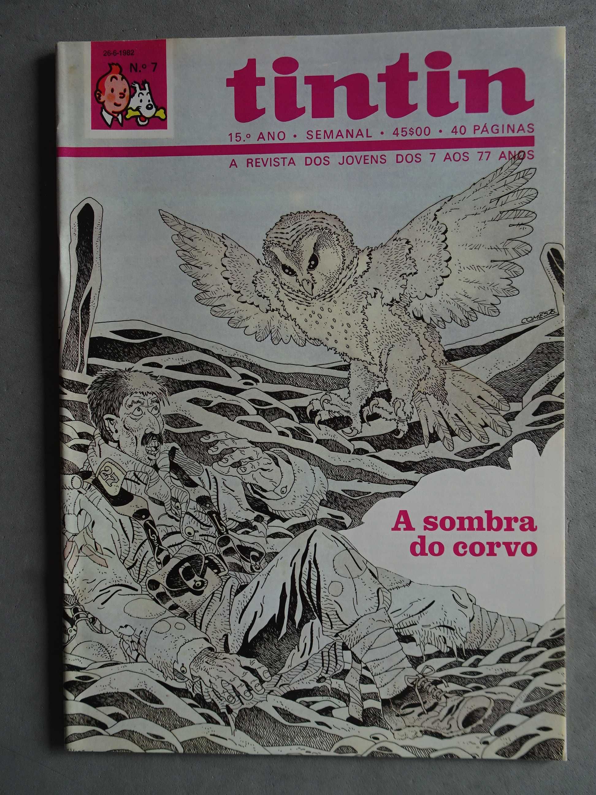 Fascículo Tintin Tintim 15º ano - nº 7