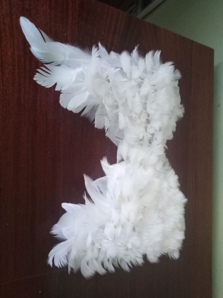 Крила ангела із качиного пера