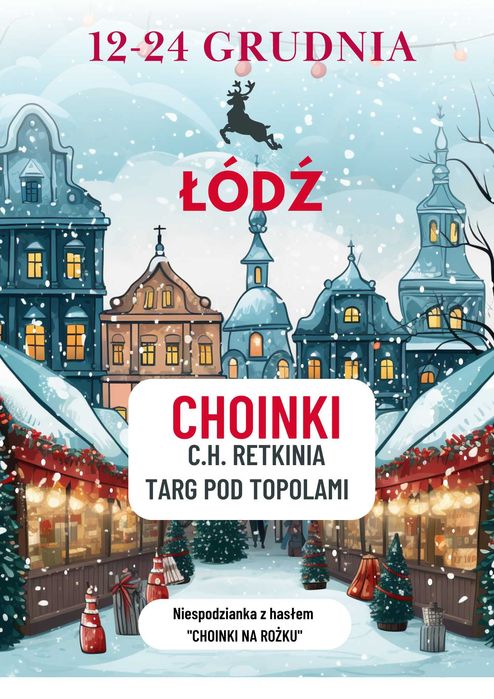 Choinka żywa świerk  choinki