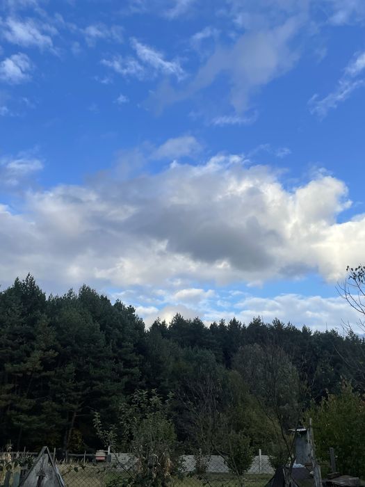 Будинок в лісі(!)