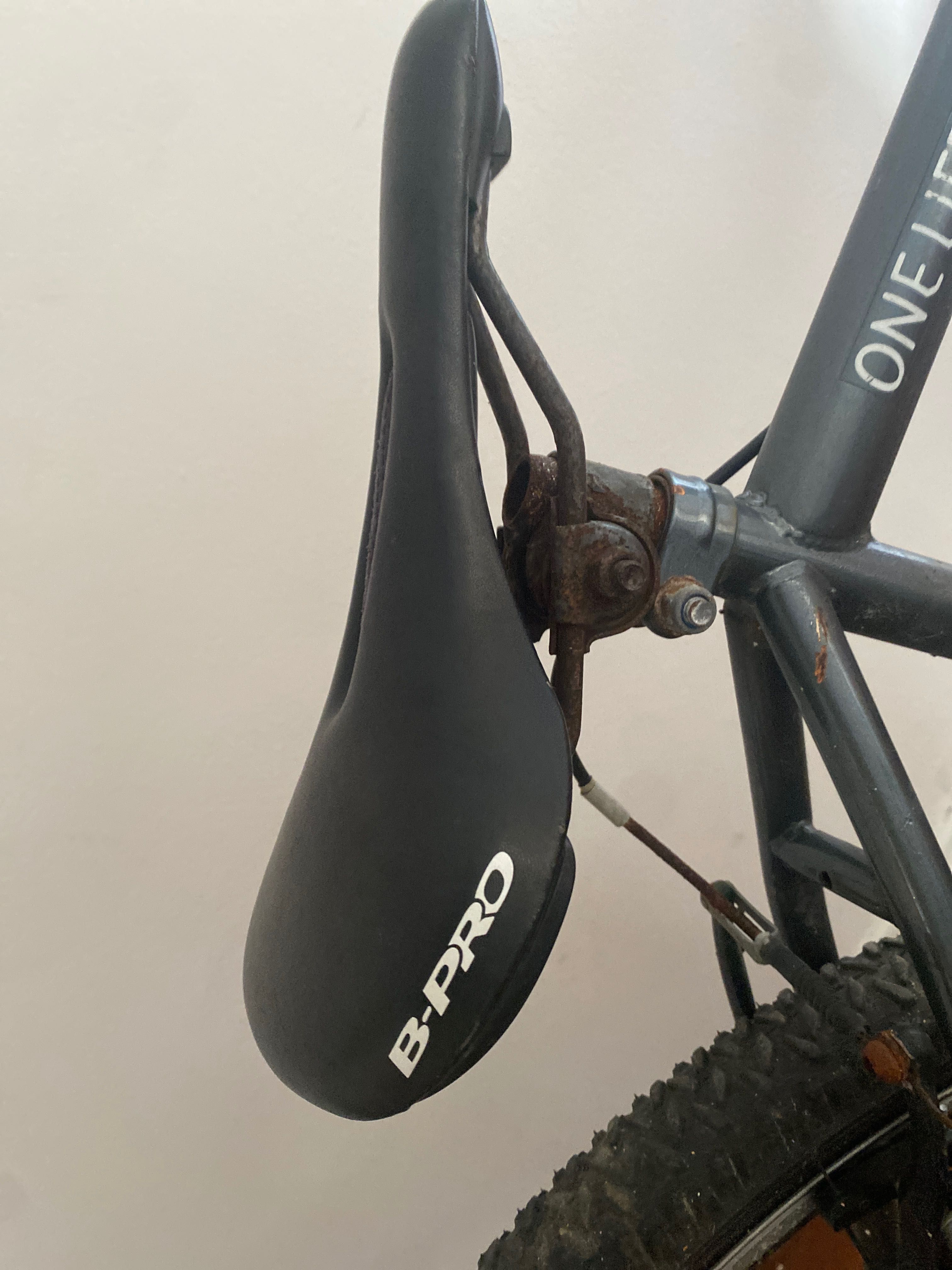 Bicicleta com banco b-pro