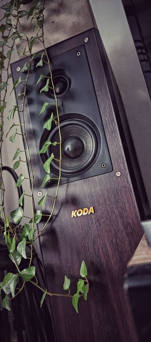 Wzmacniacz Aiyima 300W plus kolumny Koda