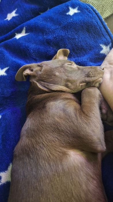 Шукає люблячу сім'ю