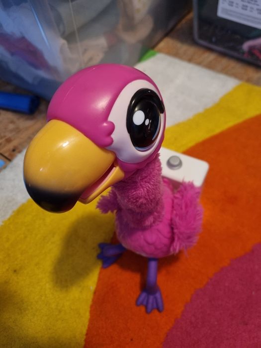 Flaming do karmienia z toaletą