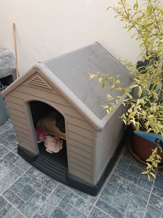 Casota de cão tamanho grande