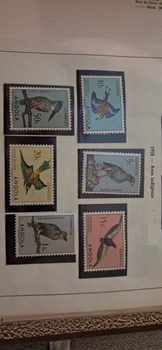 Selos: 1951 - Aves indígenas (Angola)