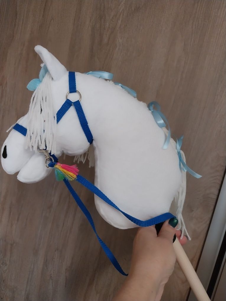 Konik hobby horse