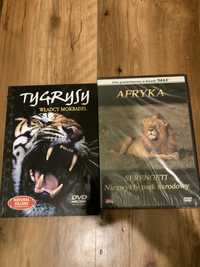 Płyty DVD Tygrysy oraz Afryka