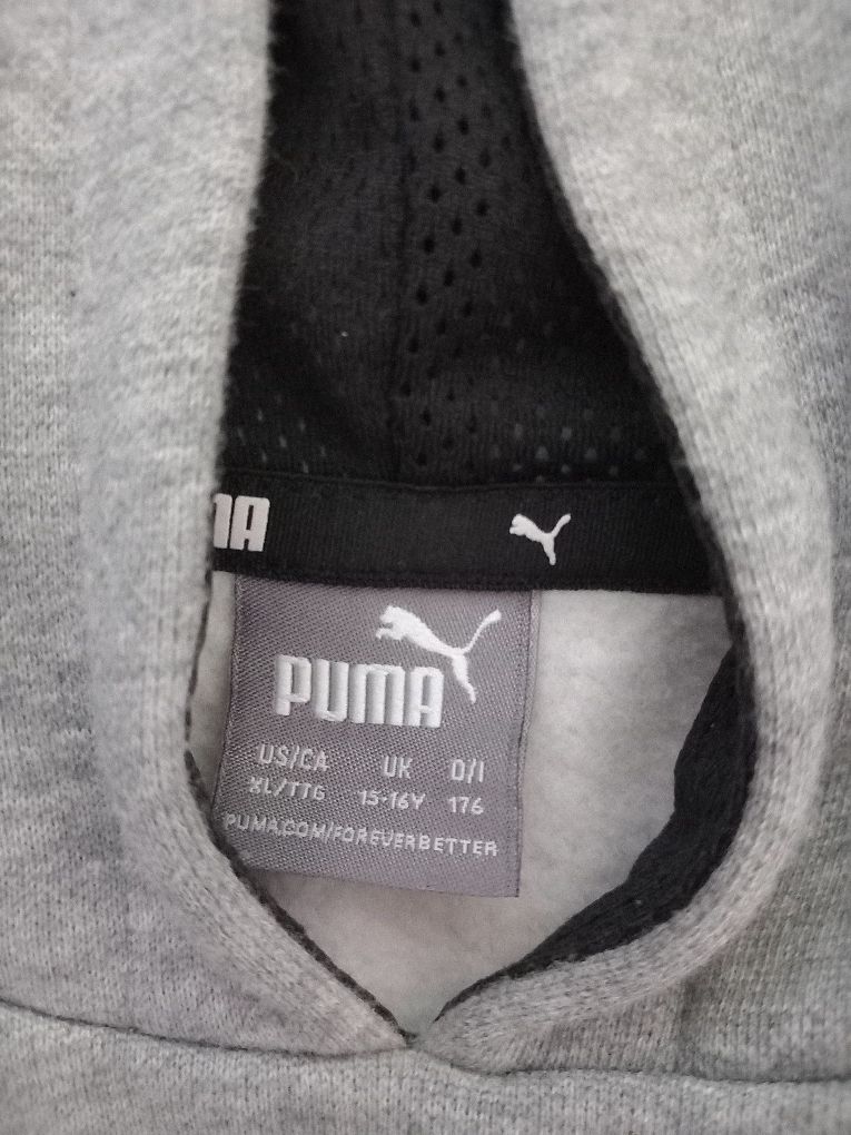 Conjunto de 4 sweats/hoodies/ casaco carapuço