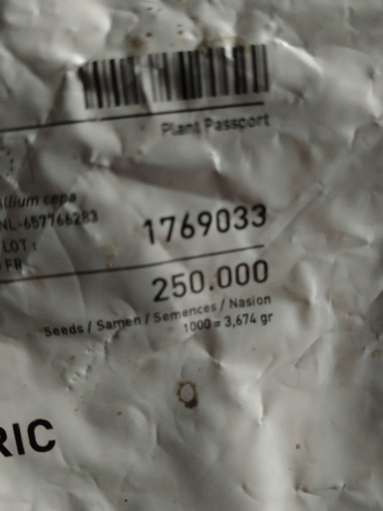 Nasiona cebuli czerwonej Eletric