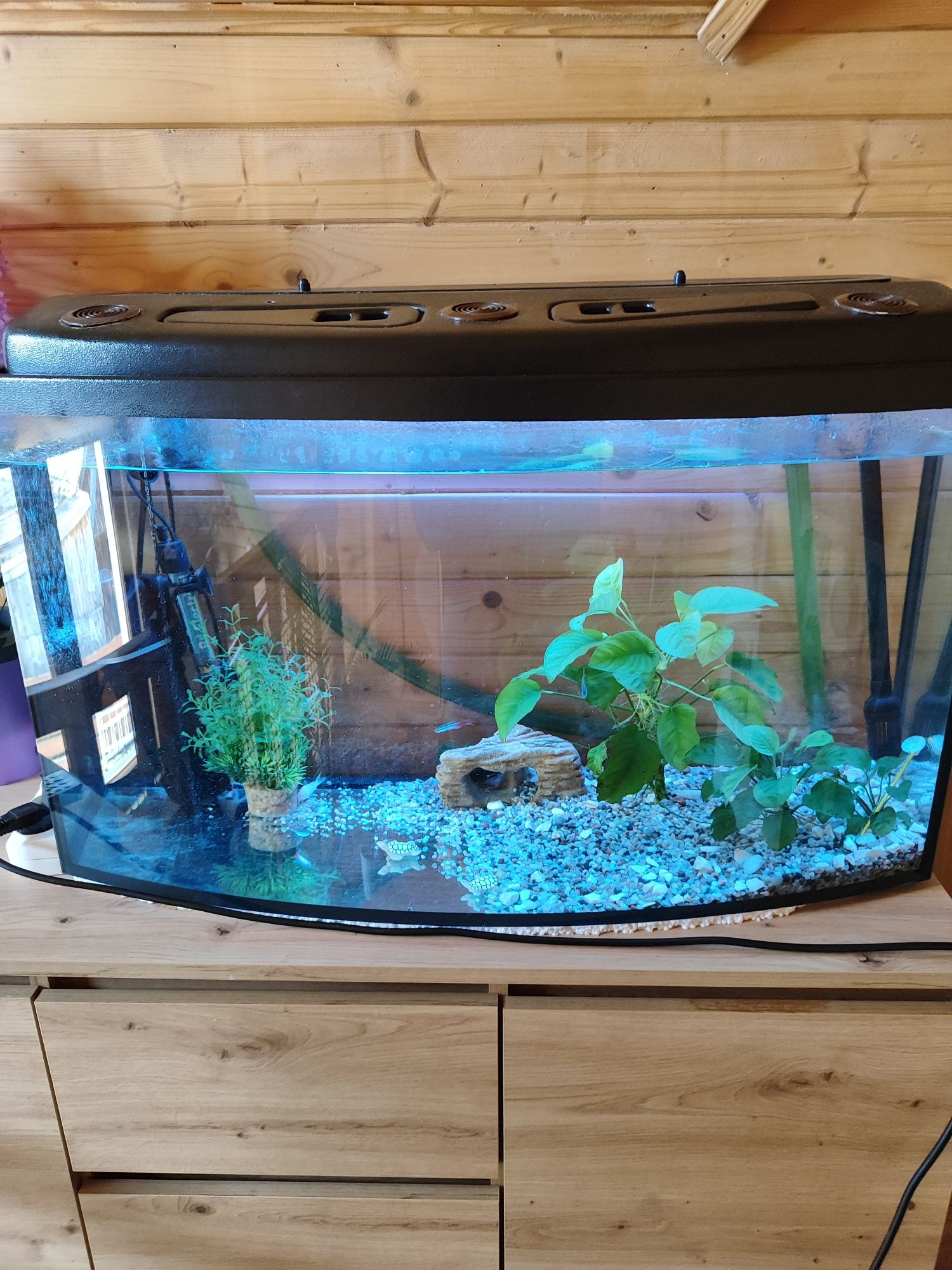 Akwarium profilowane 140l z pokrywą zestaw LED RGB filtr grzałka