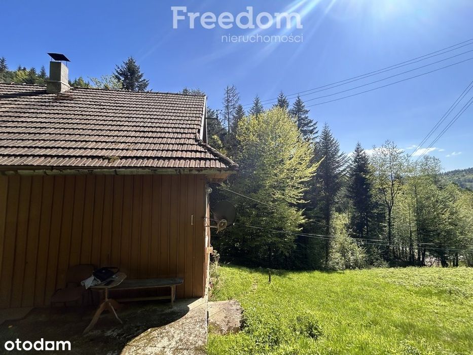 Spełnij marzenie kup stary dom pod lasem!