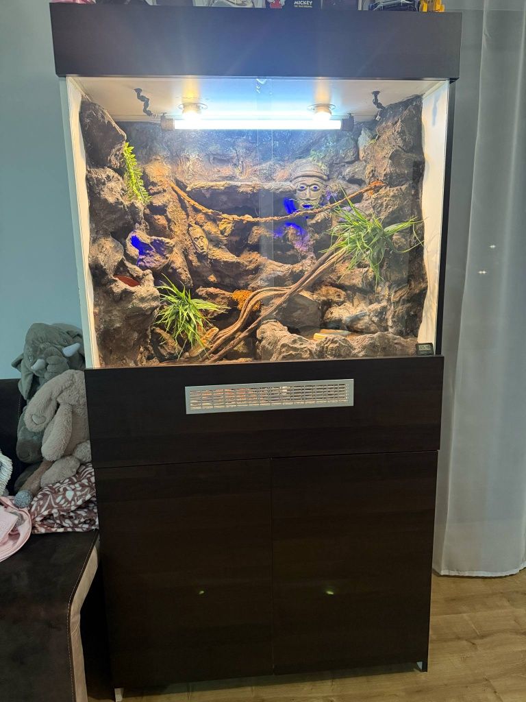 Terrarium robione na zamówienie!