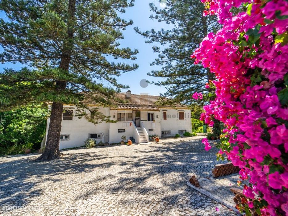 Terreno com Quinta T4+2 Sobreda 9750 m2